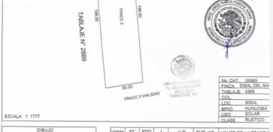 Terreno 9.900,00 m²Frente al mar en Sisal -Yucatán