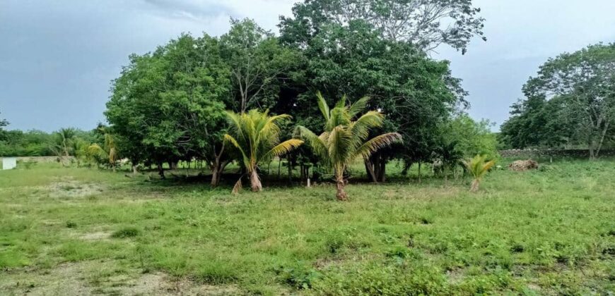 Excelente Terreno 2 ha Conkal Yucatán