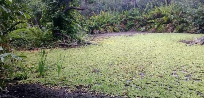 Rancho Ganadero 400ha  Buctzotz -Yucatan.