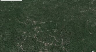 TERRENO PARQUE EOLICO, CHICXULUB EN VENTA